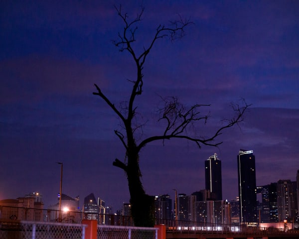 Sirawit Kuwawattananont Branch 1, 2021 64 x 80 cm 25 1/4 x 31 1/2 in 1/1