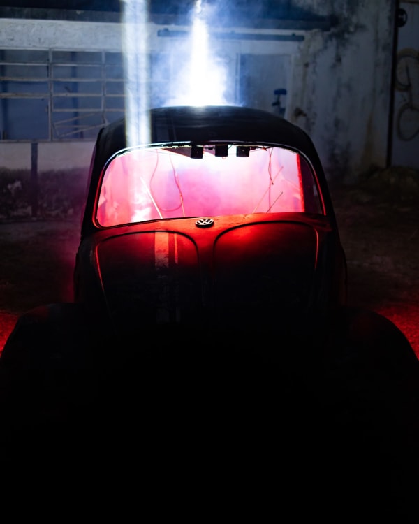 Tommy Rhodes, Vocho, from the ashes, 2022