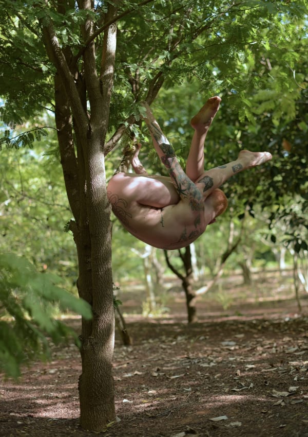 Sophirat Muangkum, Rhythm of nature #2, 2019