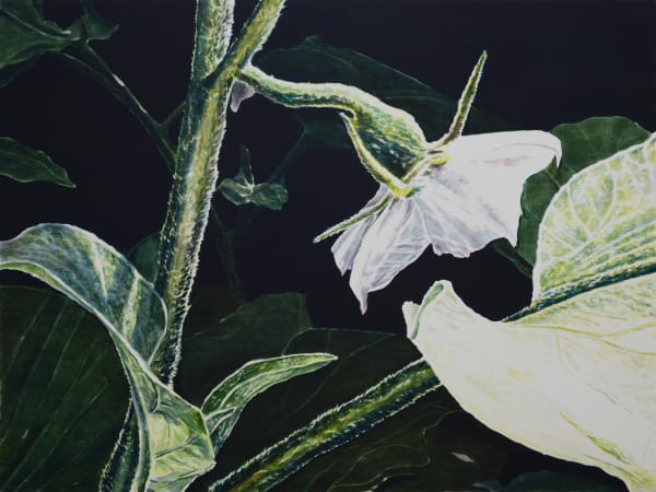 Allan Balisi Guided by Branches, 2024 Oil on canvas 36 x 48 inches