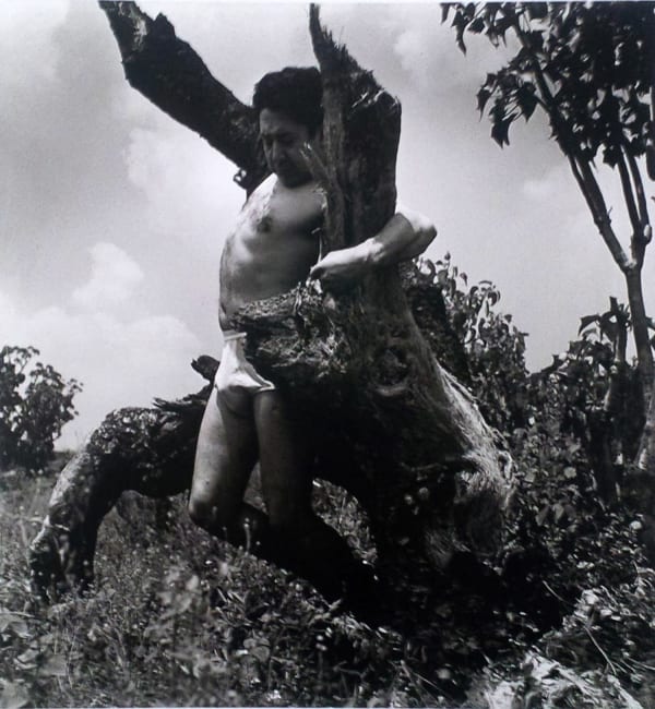 Black and white photograph of David Alfaro Siqueiros bare-legged and shirtless grasping a tree trunk against his back and elevated off the ground in preparation for his mural, "Cuauhtemoc against the myth"