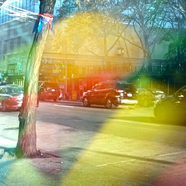 Miriam Bloom, Observation of Illusions 6, 2023