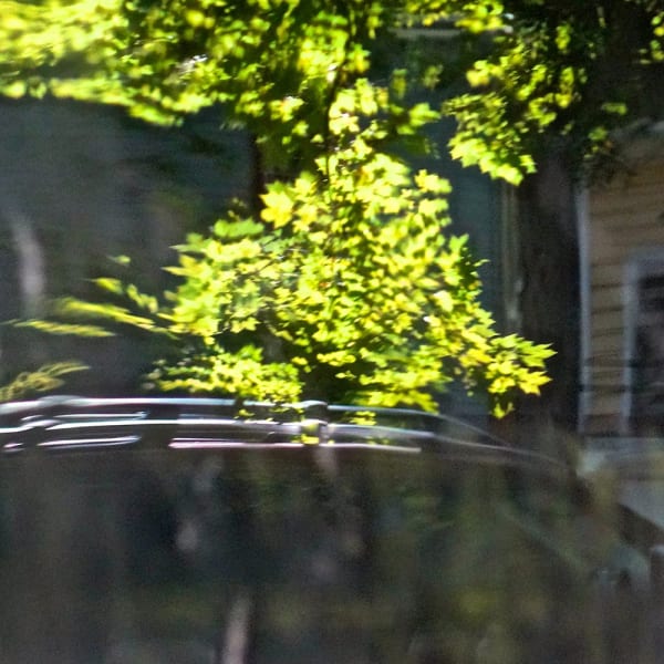 Miriam Bloom, Observation of Illusions 13, 2023