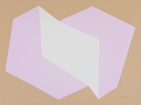 Print of two interconnected rectangular prisms, pink and white, on beige background