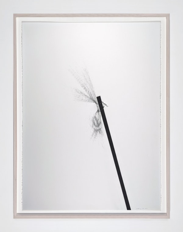 Framed Graphite on paper of dark vertical form with a softer point.