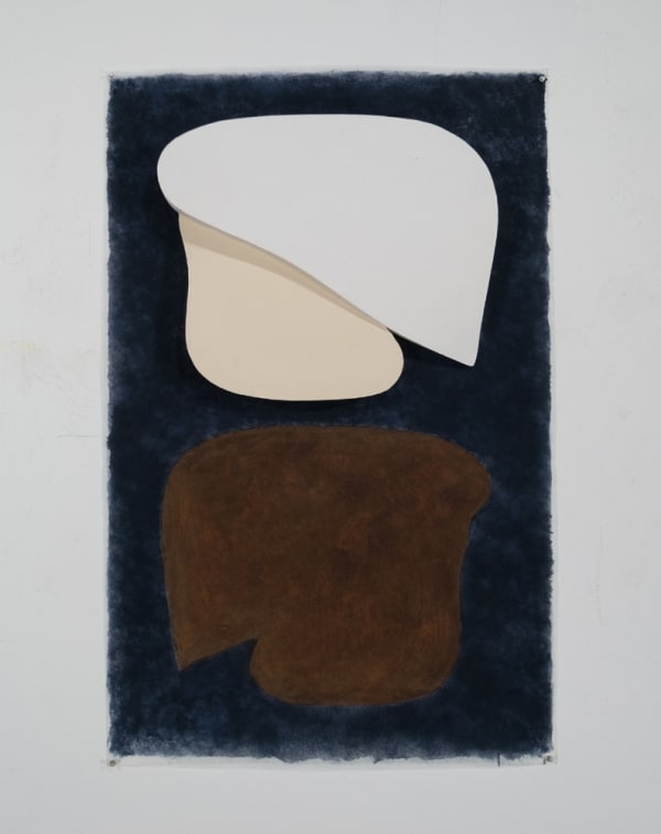 Charles Hinman, Babar Brown, 2001
