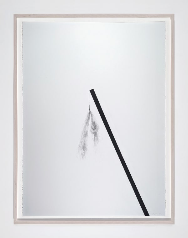 Framed Graphite on paper drawing of a slanted line with two downturned feathers sprouting from it.