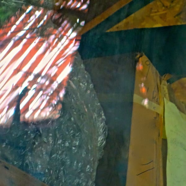 Miriam Bloom, Observation of Illusions 1, 2023