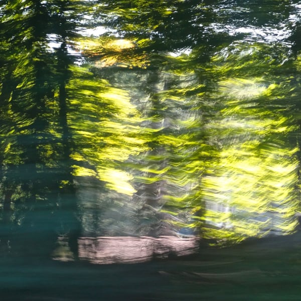 Miriam Bloom, Observation of Illusions 11, 2023