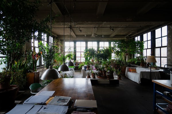 A dark loft setting is filled with houseplants and documents are visible on a table in the foreground