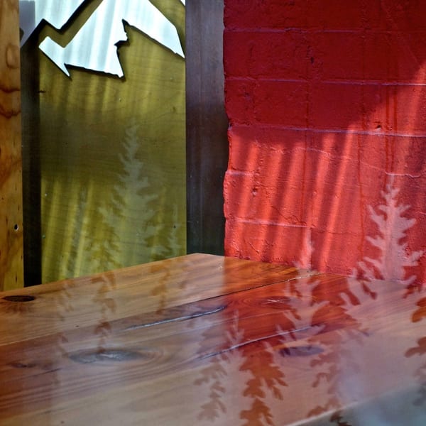 Miriam Bloom, Observation of Illusions 5, 2023