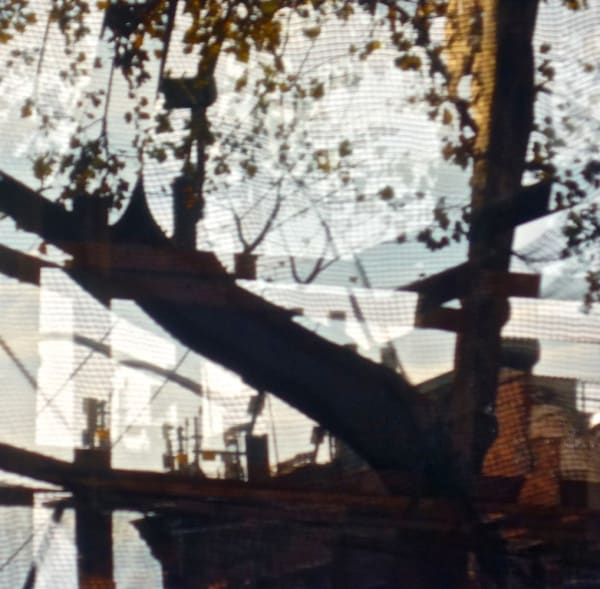 Miriam Bloom, Observation of Illusions 10, 2023