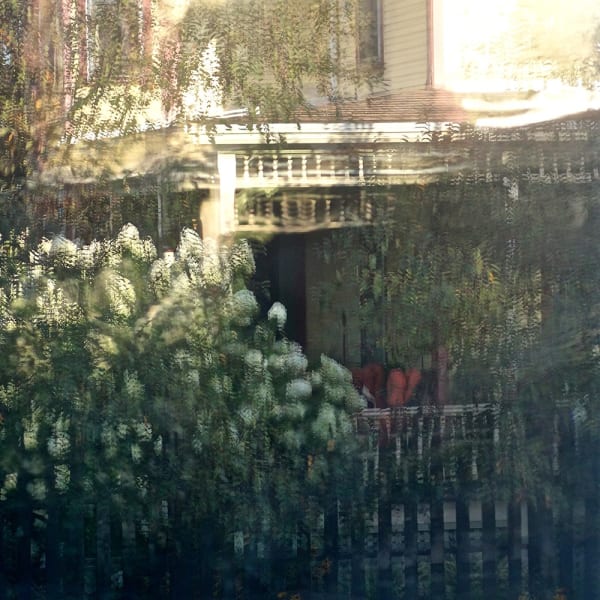 Miriam Bloom, Observation of Illusions 3, 2023