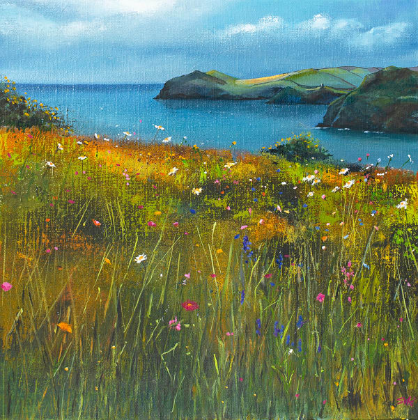 Suki - Prints, Across to Doyden