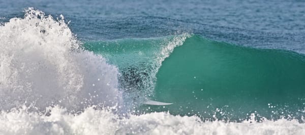 Nick Wapshott, In the Green Room