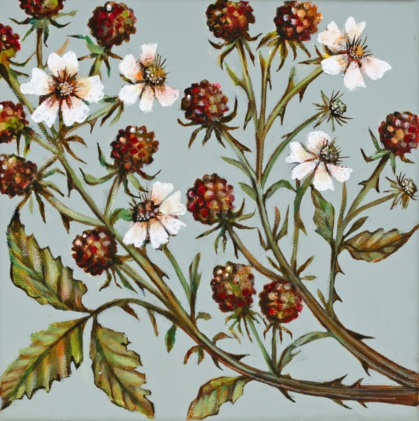 Blackberries II