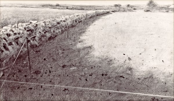 Andrew Barrowman, Cornish Hedge & Fence Tape