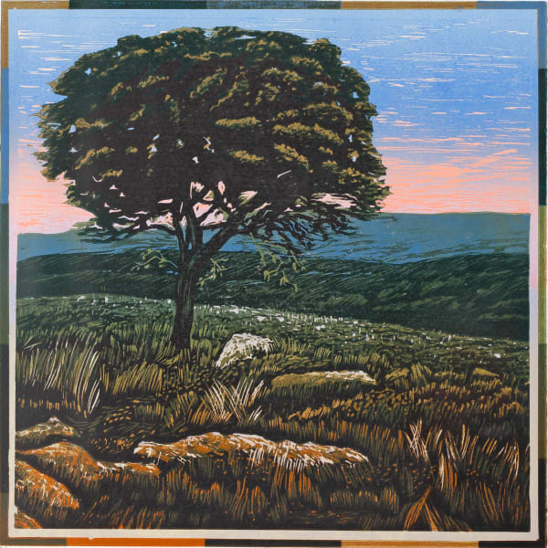 Evening on the Moor
