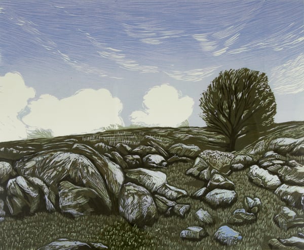Dartmoor Lines II