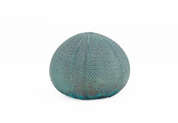 Sara Ross, Sea Urchin