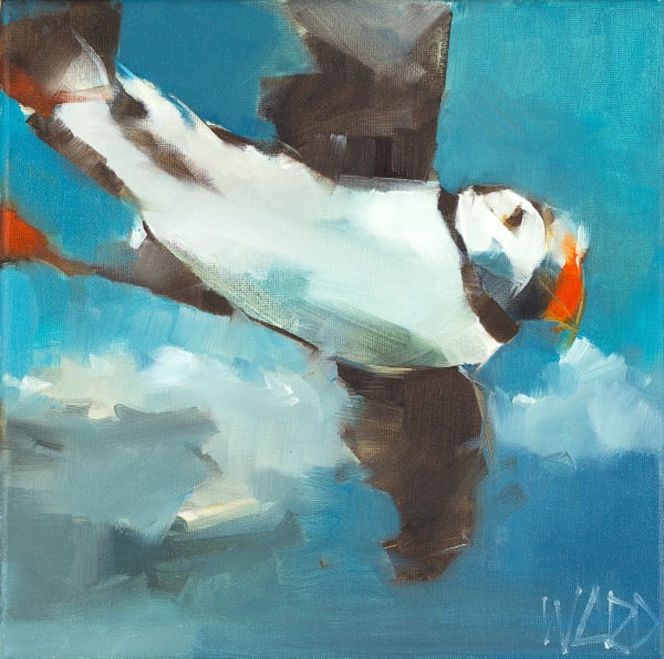 Puffin Flight II