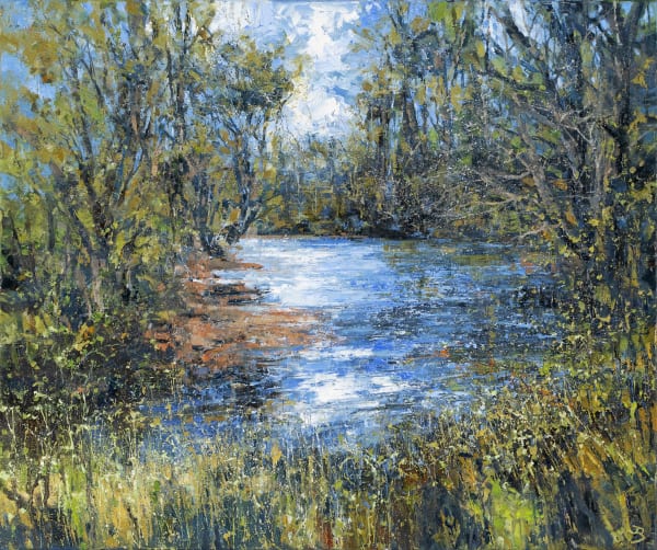 Luxulyan Stream in Spring