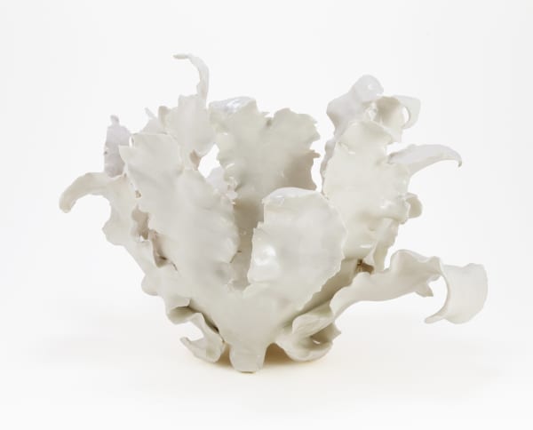 Melanie Legge, Sea Kelp II