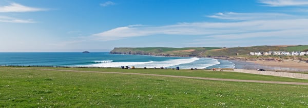 Nick Wapshott, Spring Swell