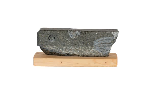 Penwith 1000. No: 0904