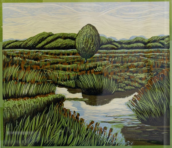 New Forest Landscape