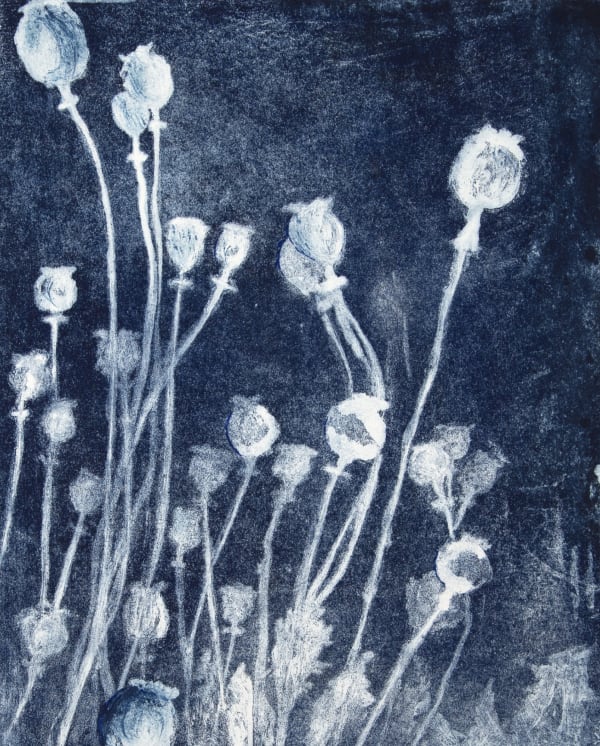 Poppy Heads