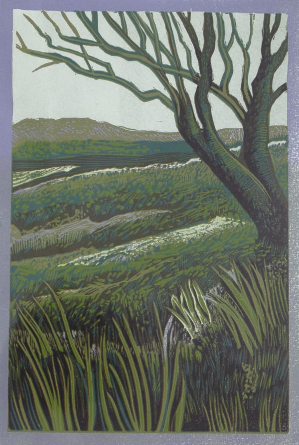 Dartmoor - Single Tree