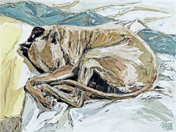 Whippet Asleep
