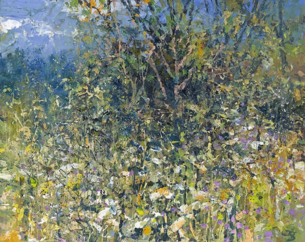 The Edge of a Cornish Field