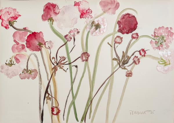 Dương Thuỳ Dương, Still life Sketch (Ký hoạ Tĩnh vật), 2025