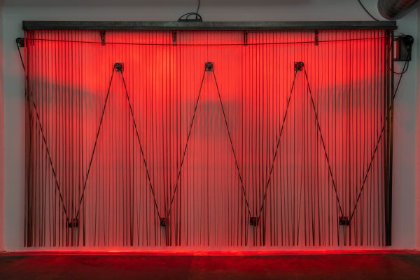 Stephen Neidich, The birds, 2021