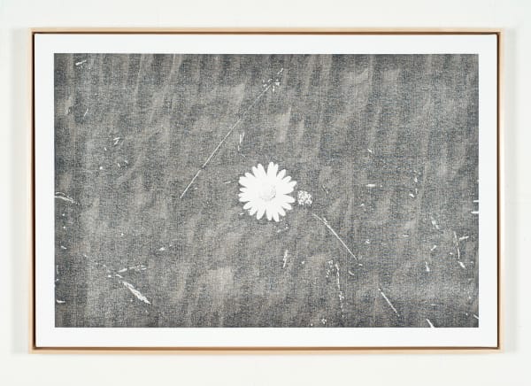 Martin Bennett, Static Image Painting/Grey/Wildflower/Wildwood Road/Hampstead/London/Walking Back From Heathwood/One, 2016/2015