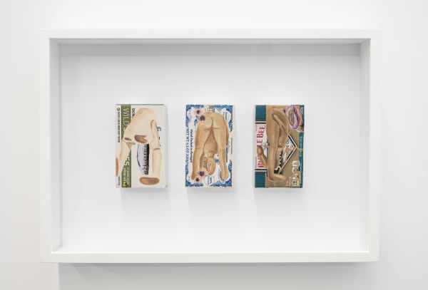 Fawn Rogers Eat You Eat Me #8, 2020 Acrylic on cardboard packaging 11 1/2 x 17 x 3 inches 29.2 x 43.2 x 7.6 cm. Framed