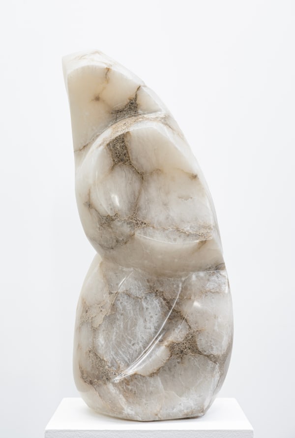 Michael Wilding, Nebula, 2024