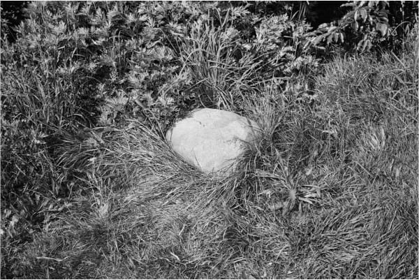 Graeme Mitchell Rock, 2012 7-tone monochrome ink set pigment print on archival cotton paper, 9 x 13 1/2 inches picture 22.9 x 34.3 cm. 13 x 17 1/2 inches paper 33 x 44.5 cm.