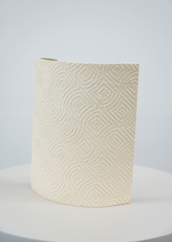 Ry Rocklen, Paper Towel Vase, 2024
