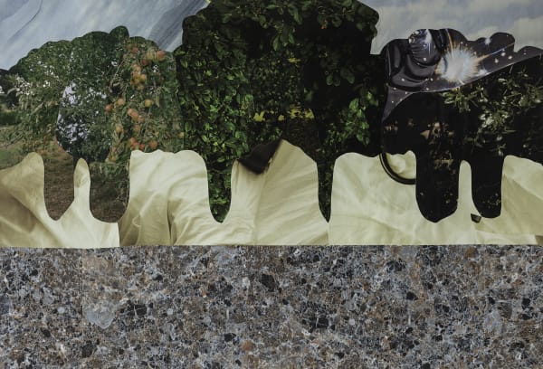 Vikky Alexander, Vue du Bassin de Neptune (autre perspective), 2021