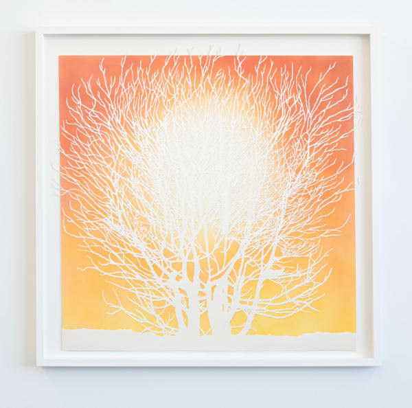 Francesca Gabbiani, Dead White at Noon, 2023