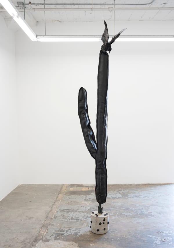 Ray Anthony Barrett, Roost, 2022