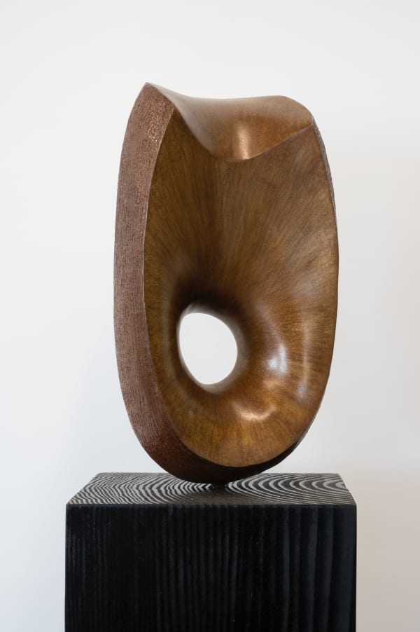 Michael Wilding, Where Do Songs Come From, 2020