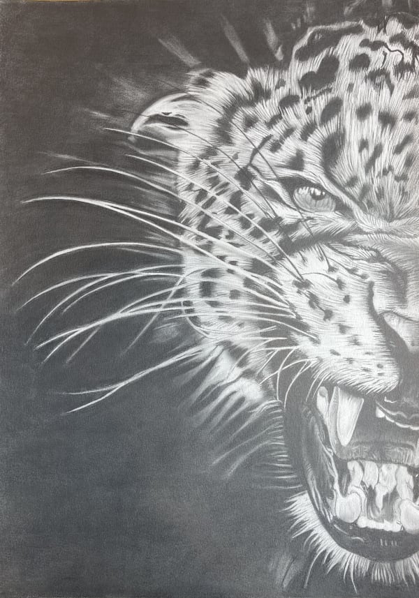 Ant Morgan, Kitty, 2021