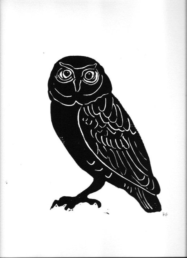 Owl 1