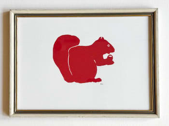 Red Squirrel