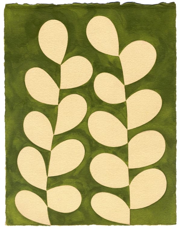 Leaf Study