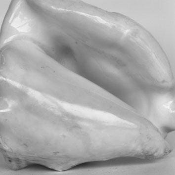 The Shell Collection of the Belgian Royal Family